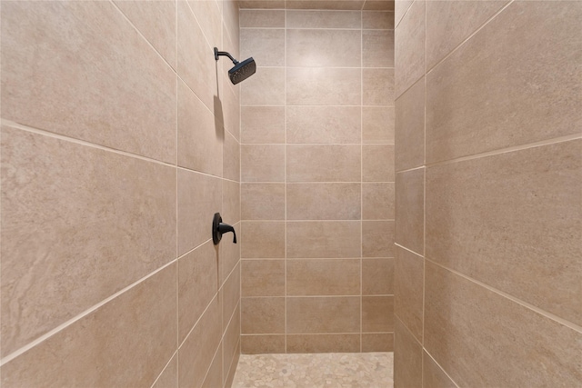 room details with a tile shower