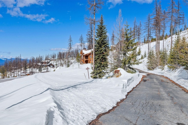 snowy yard with a garage and driveway