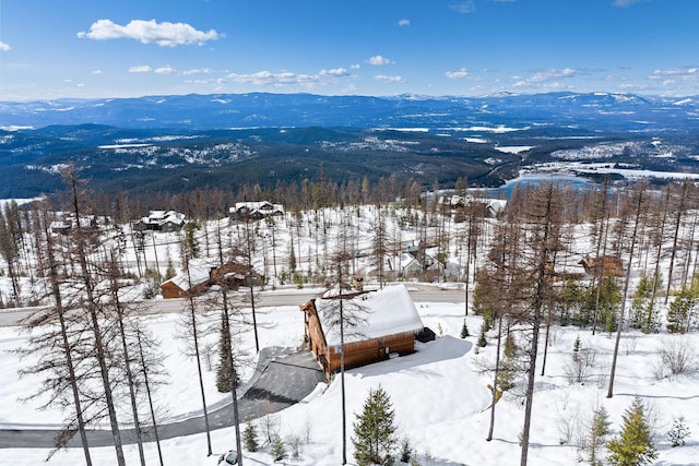 snowy aerial view featuring a mountain view