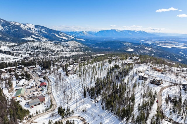 snowy aerial view featuring a mountain view