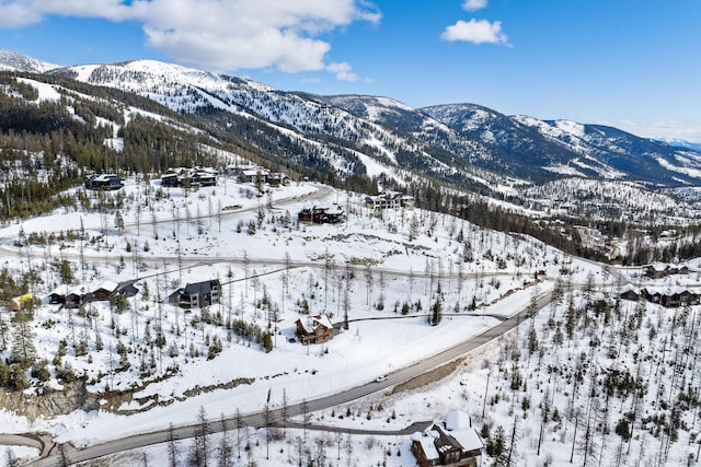 476 Elk Highlands Dr, Whitefish, MT 59937 - mountain view