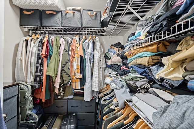 view of spacious closet