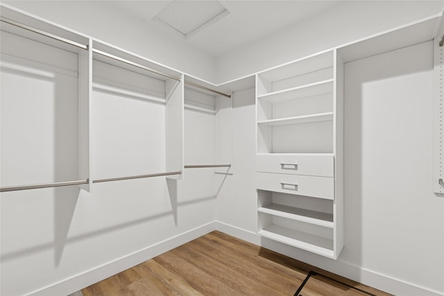 154 W Swift Creek Way, Kalispell, MT 59901 - spacious closet featuring wood finished floors