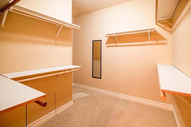 159 Fairway Blvd, Kalispell, MT 59901 - walk in closet with light carpet