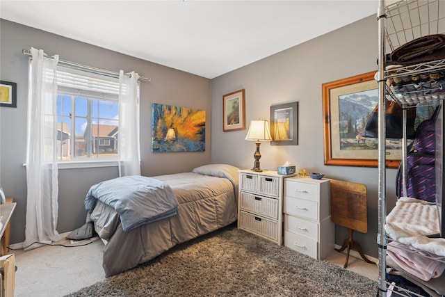 bedroom with carpet floors