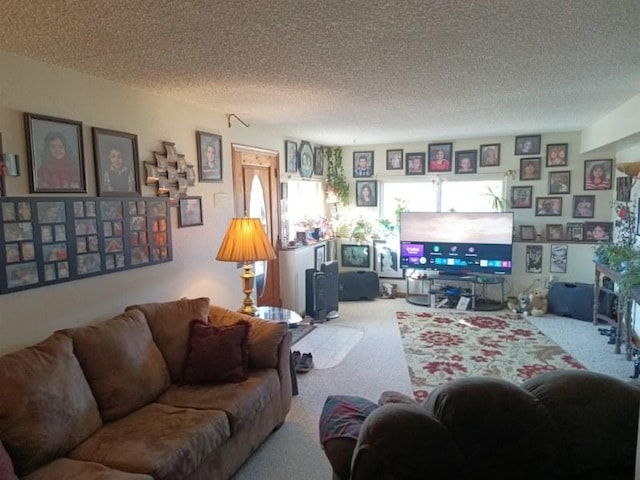 carpeted living area with a textured ceiling