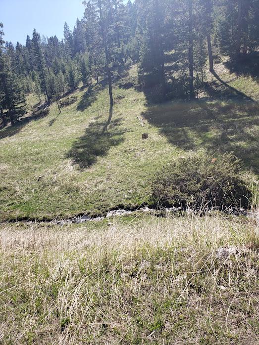 Listing photo 2 for sec21T08nr08eSpencer Tbd, White Sulphur Springs MT 59645