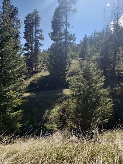 Listing photo 3 for sec21T08nr08eSpencer Tbd, White Sulphur Springs MT 59645