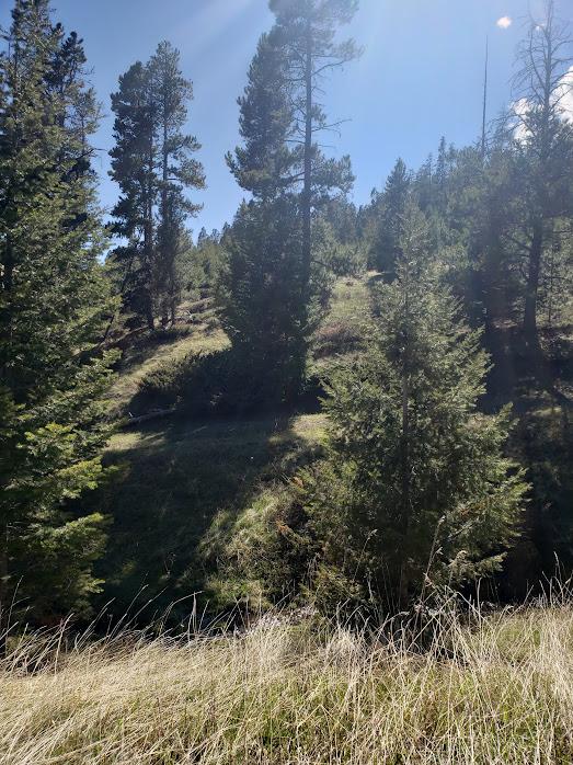 sec21T08nr08eSpencer Tbd, White Sulphur Springs, MT 59645