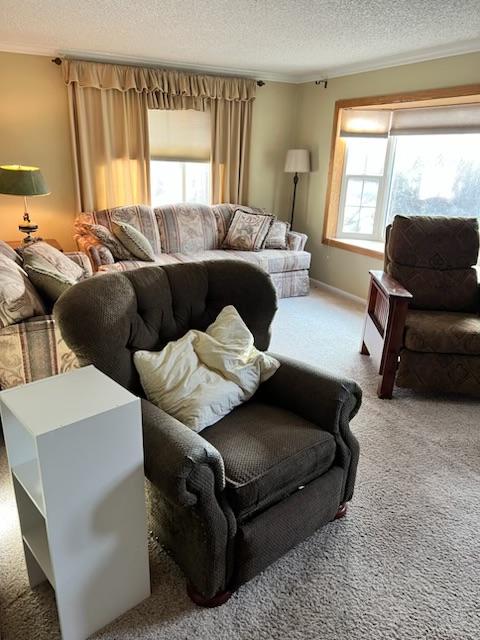 living area featuring carpet flooring, a textured ceiling, and baseboards