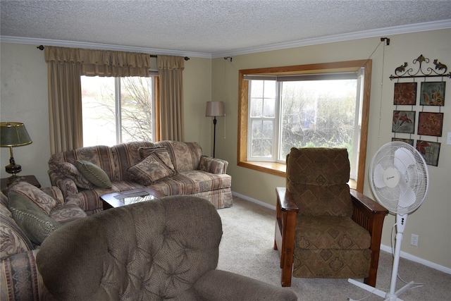 living area featuring light colored carpet, a textured ceiling, and crown molding