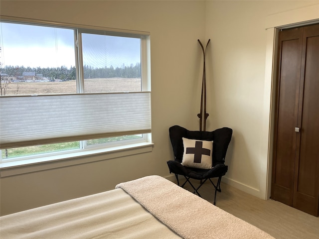 264A Blackberry Loop Unit A, Whitefish, MT 59937 - bedroom with baseboards