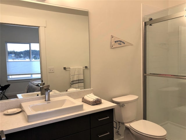 bathroom with vanity, a shower stall, and toilet