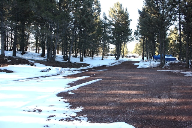 view of yard covered in snow