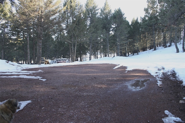 view of yard layered in snow