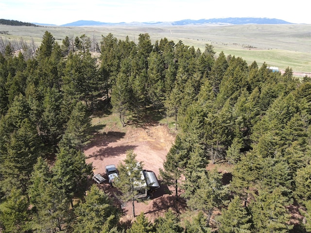 48 Black Butte Rd, White Sulphur Springs, MT 59645 - drone / aerial view of a mountain backdrop