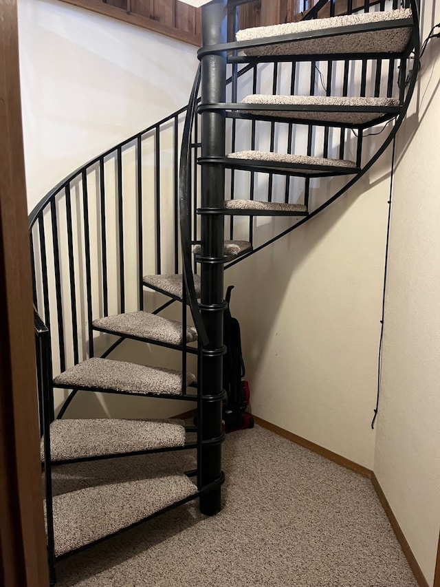 stairway featuring baseboards and carpet floors