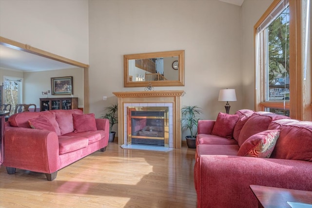 living area featuring wood finished floors and a fireplace