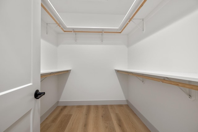 57 Hidden Cedar Loop, Columbia Falls, MT 59912 - spacious closet featuring light wood finished floors