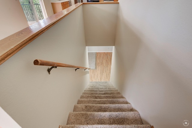 staircase featuring wood finished floors