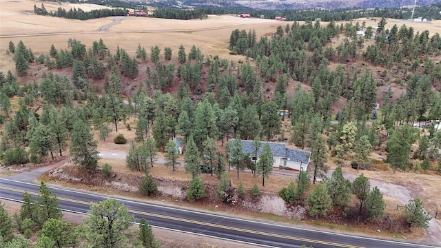 drone / aerial view with a rural view