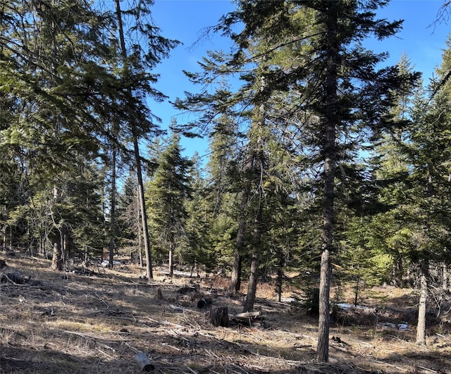 Listing photo 3 for Flatiron Way Lot 3, Thompson Falls MT 59873