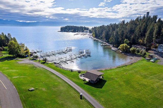 bird's eye view with a water view