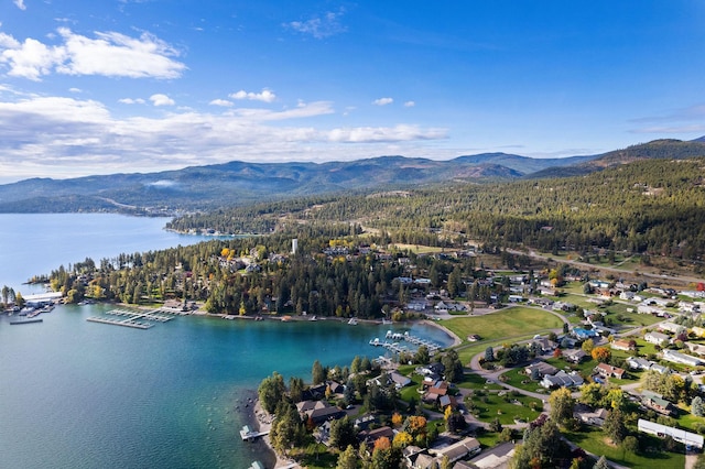 drone / aerial view with a view of trees and a water and mountain view