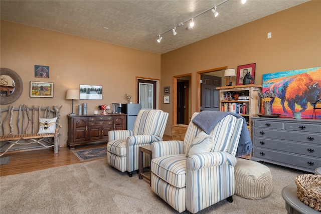 sitting room with carpet flooring and rail lighting