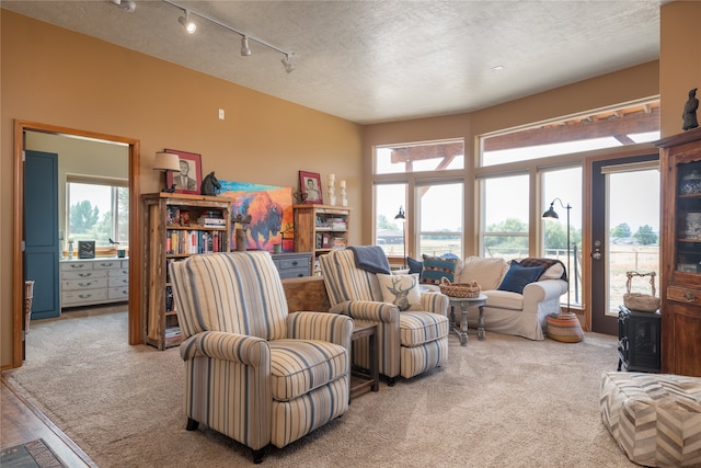 carpeted living room with a textured ceiling, track lighting, and a wood stove