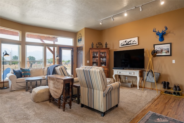 living area featuring carpet flooring, rail lighting, a textured ceiling, and baseboards