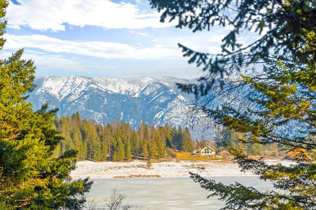 view of mountain feature featuring a view of trees