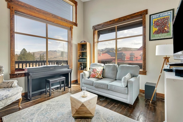 living area featuring a mountain view, baseboards, and hardwood / wood-style flooring