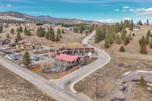 birds eye view of property featuring a mountain view