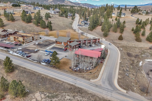 bird's eye view with a mountain view