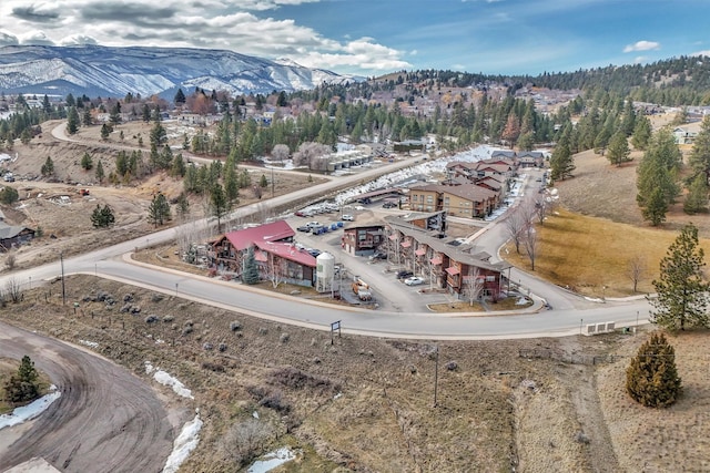 birds eye view of property featuring a mountain view