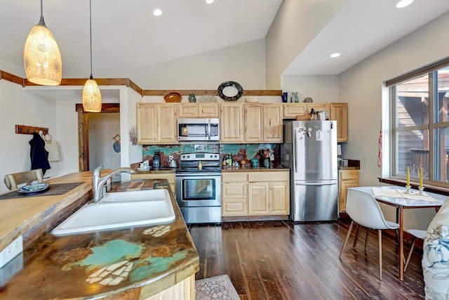 kitchen with lofted ceiling, a sink, light brown cabinetry, dark wood-type flooring, and stainless steel appliances