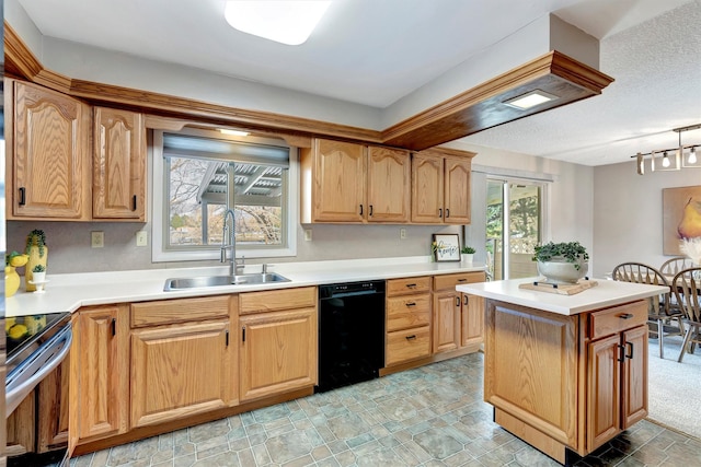 kitchen featuring a sink, electric range, dishwasher, and a wealth of natural light