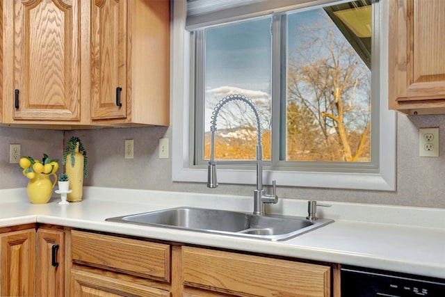 kitchen with dishwasher, light countertops, and a sink