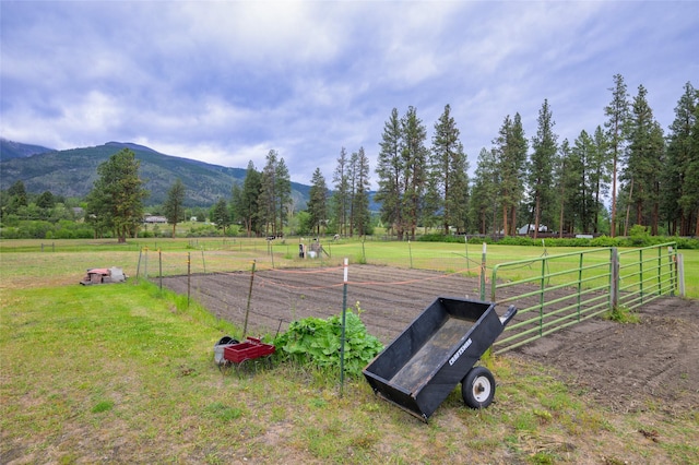 view of yard with a mountain view, a rural view, and fence