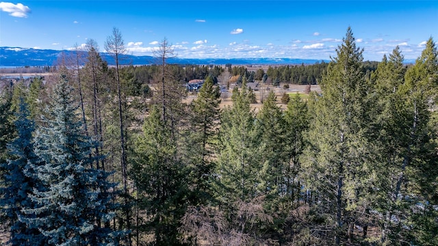 Listing photo 2 for 230 Eagle Bend Dr, Bigfork MT 59911