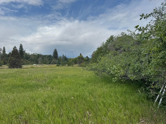 NHN Middle Burnt Fork Rd, Stevensville, MT 59870