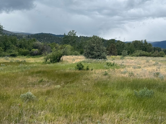 NHN Middle Burnt Fork Rd, Stevensville, MT 59870