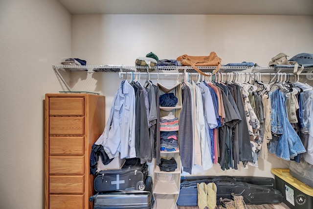 view of walk in closet