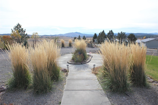 view of yard with a mountain view