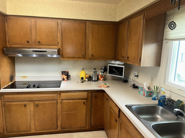 kitchen with black electric stovetop, light countertops, brown cabinets, exhaust hood, and a sink