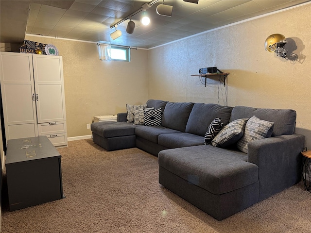 carpeted living area featuring ornamental molding, rail lighting, baseboards, and a textured wall