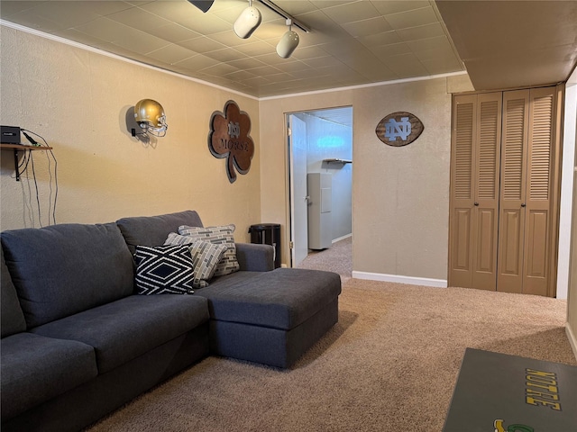 living area featuring baseboards, carpet, ornamental molding, rail lighting, and a textured wall