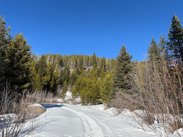 121 S Granite Rd, Philipsburg MT, 59858 land for sale