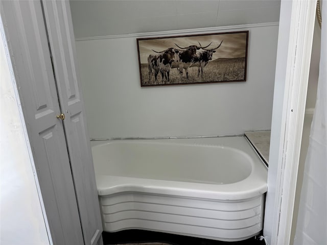 bathroom featuring a tub